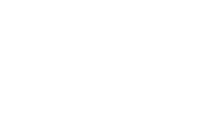 蓝安度科技_警用装备管理系统_消防装备管理系统LOGO